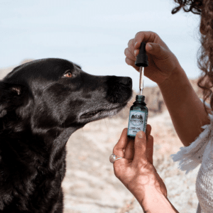 CBD for Dogs and Pets