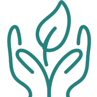 Handcrafted formulations